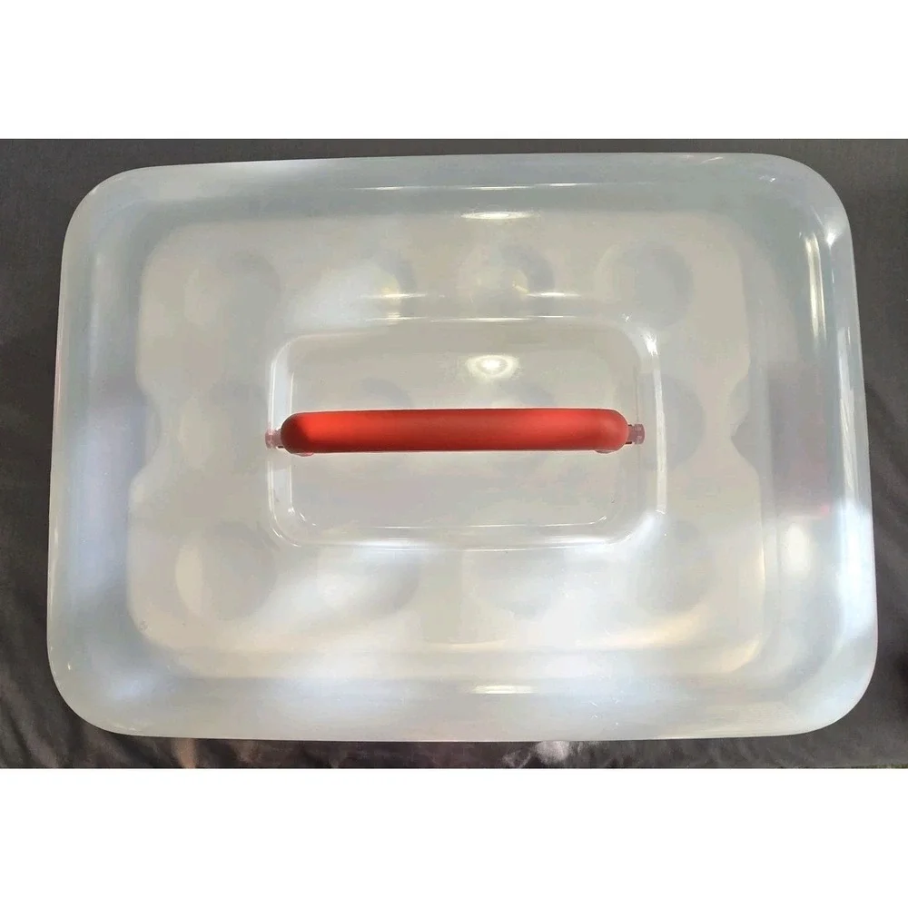 Rubbermaid Cupcake Devil Egg Cake Carrier Red